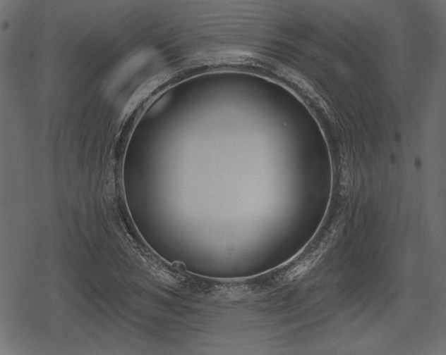 X0000078290978200611031227