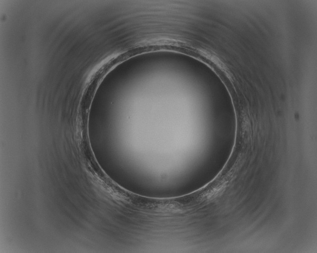 X0000078290979200611031227