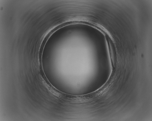 X0000078290980200611031227