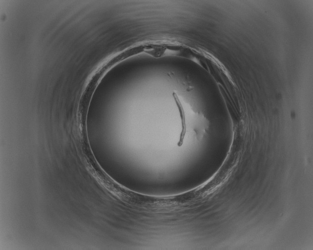 X0000078290981200611031227