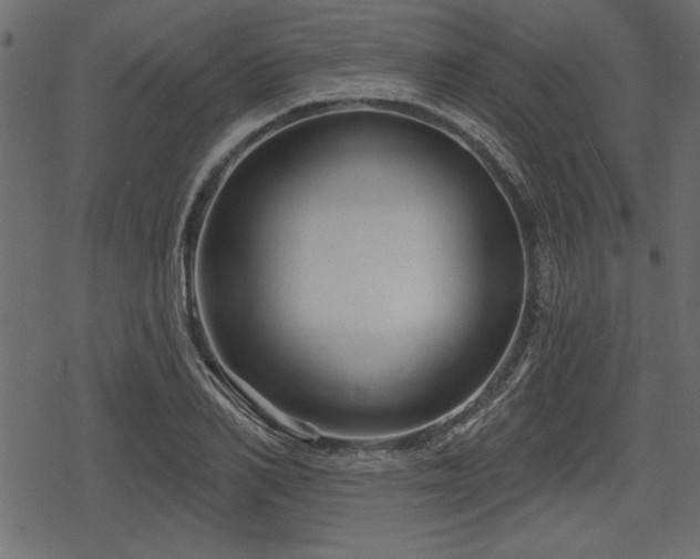 X0000078290982200611031227