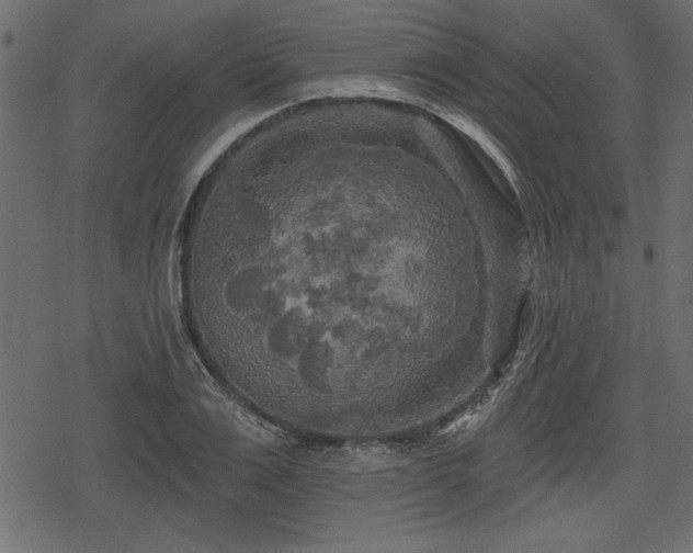 X0000078290983200611031227