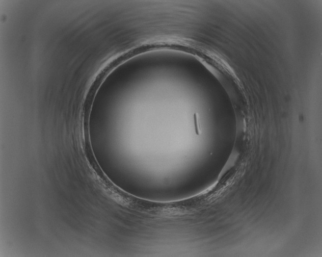 X0000078290984200611031227