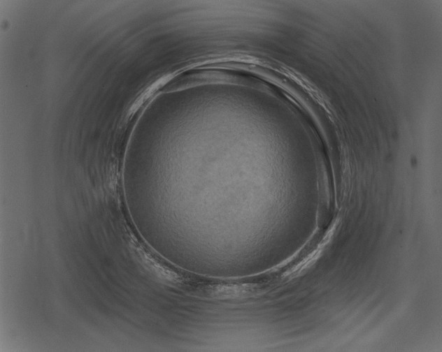 X0000078290985200611031227