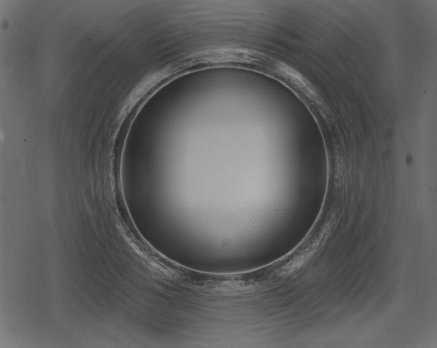 X0000078290986200611031227