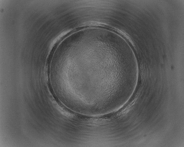 X0000078290987200611031227