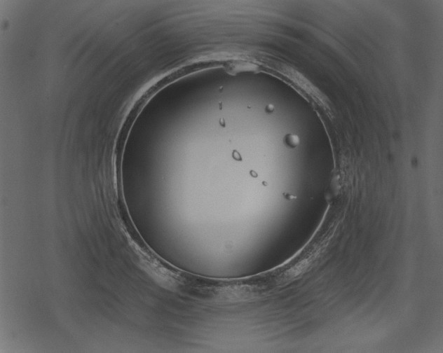 X0000078290988200611031227