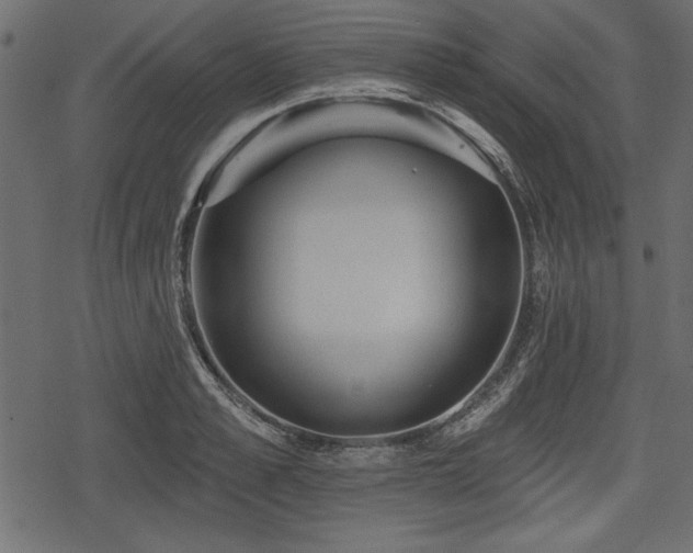 X0000078290989200611031227