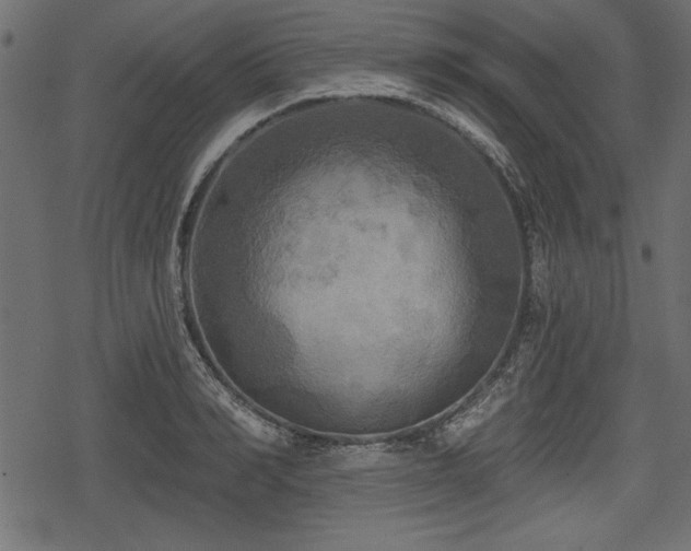 X0000078290990200611031227