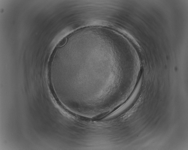 X0000078290991200611031227