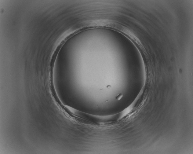 X0000078290992200611031227