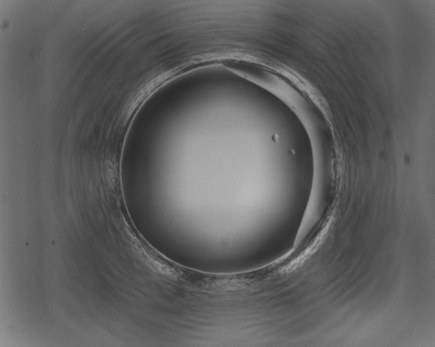 X0000078290993200611031227