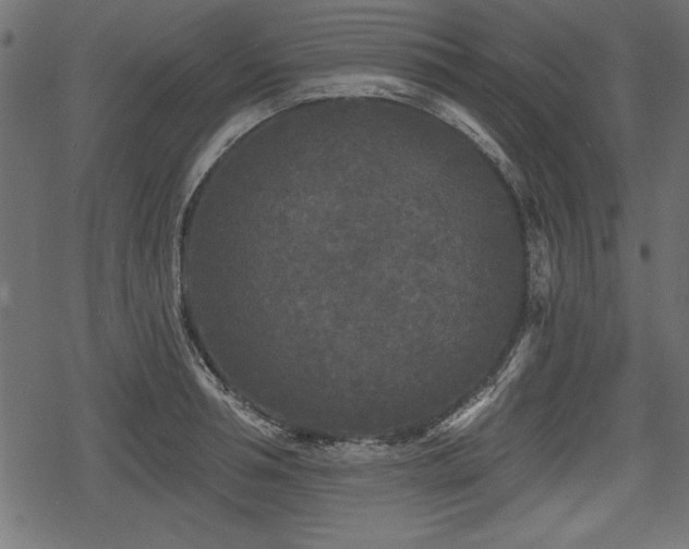 X0000078290994200611031227