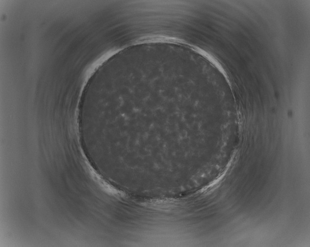 X0000078290995200611031227