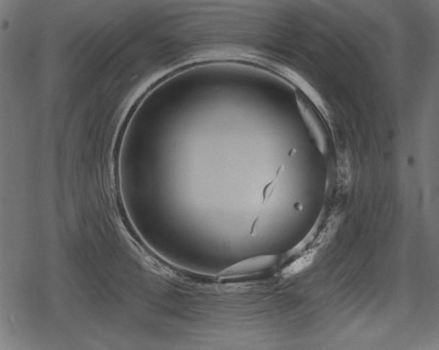 X0000078290996200611031227