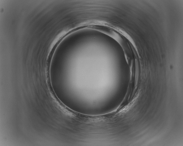 X0000078290997200611031227