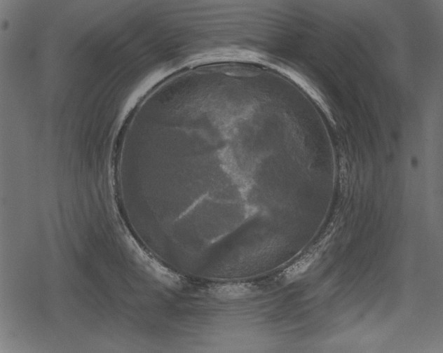 X0000078290998200611031227