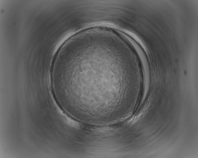 X0000078290999200611031227