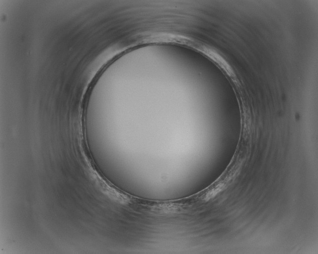 X0000078291000200611031227