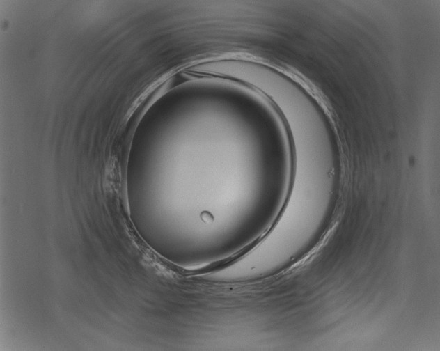 X0000078291001200611031227