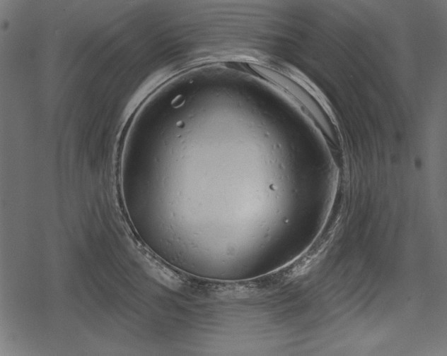 X0000078291002200611031227