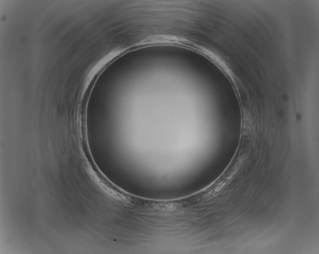 X0000078291003200611031227