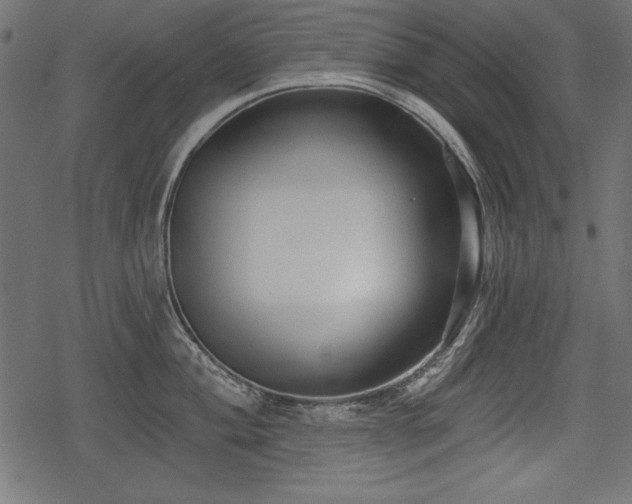 X0000078291004200611031227