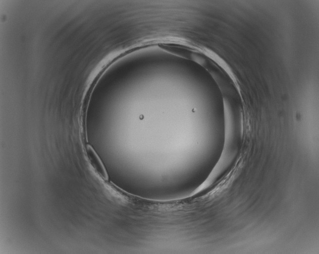 X0000078291005200611031227