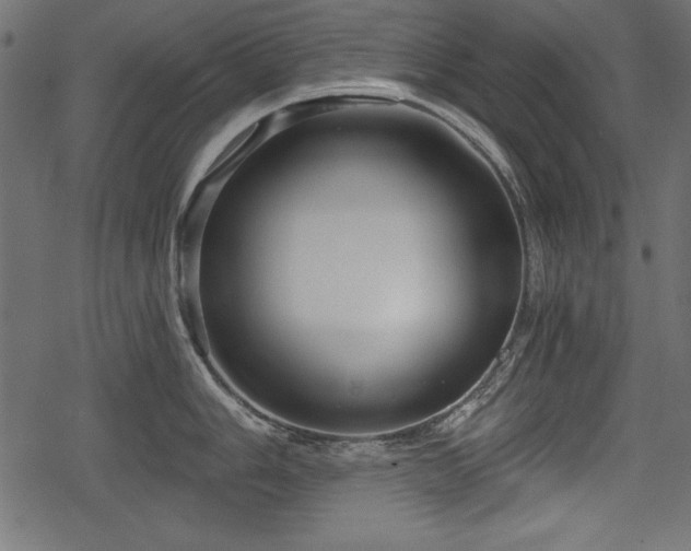 X0000078291006200611031227