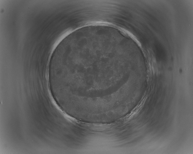 X0000078291007200611031227