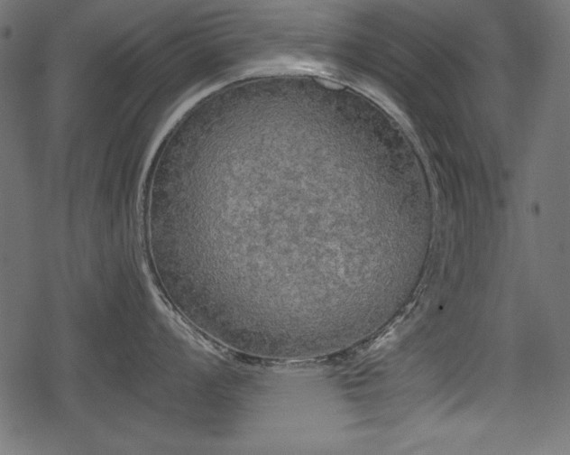 X0000078291008200611031227