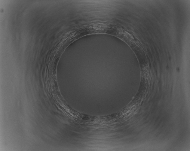 X0000078291009200611031226