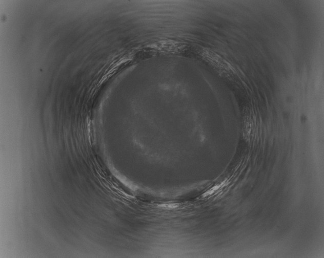 X0000078291010200611031226