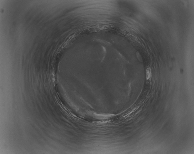 X0000078291011200611031226