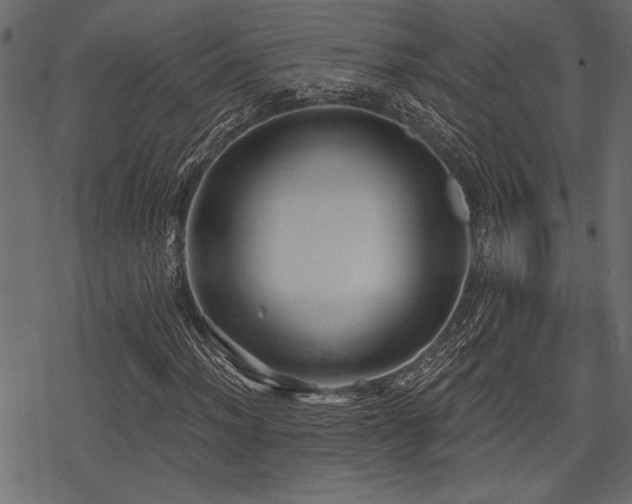 X0000078291012200611031226