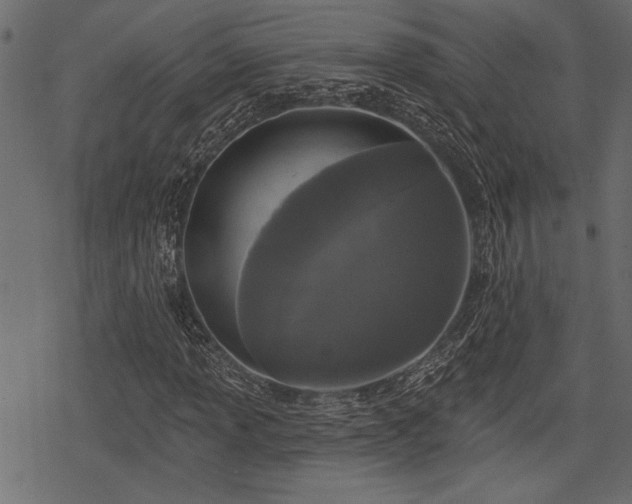 X0000078291013200611031226