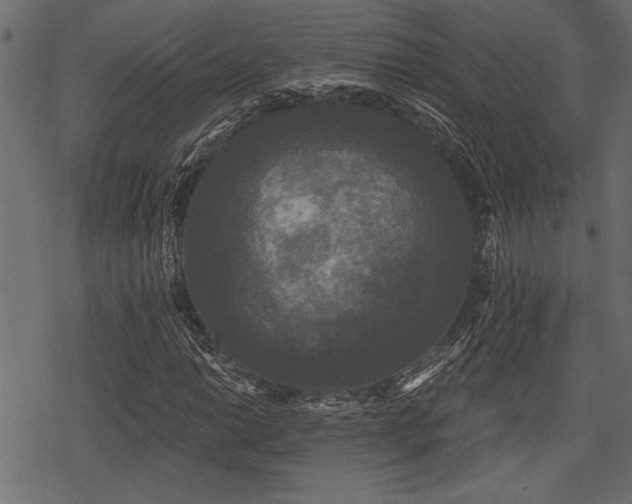 X0000078291014200611031226