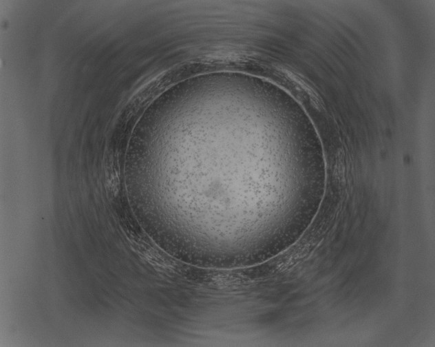 X0000078291015200611031226