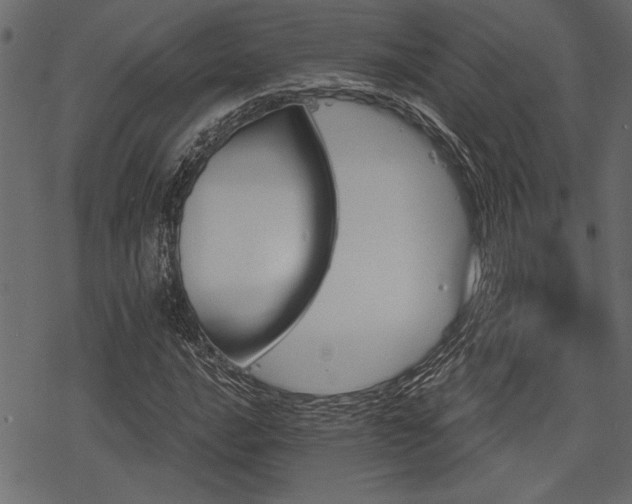 X0000078291016200611031226