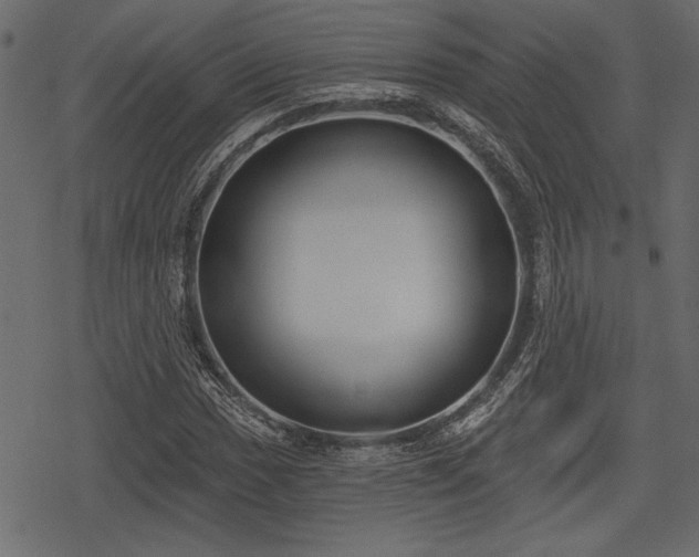 X0000078291017200611031226