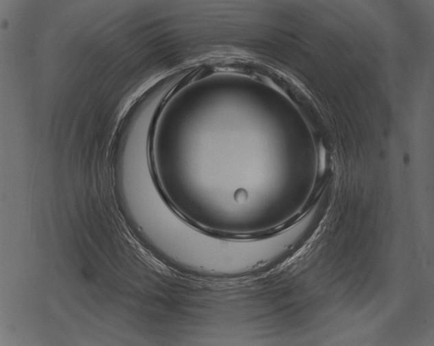 X0000078291018200611031226