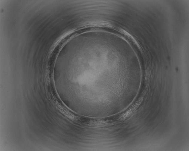 X0000078291019200611031226