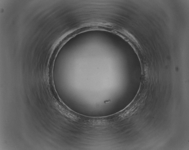 X0000078291020200611031226