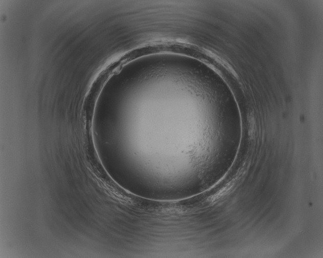 X0000078291021200611031226