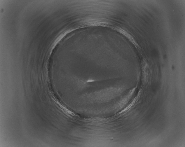 X0000078291023200611031226