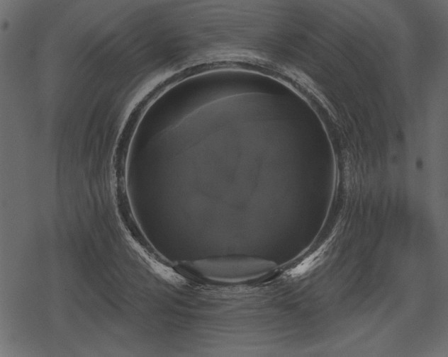 X0000078291024200611031226