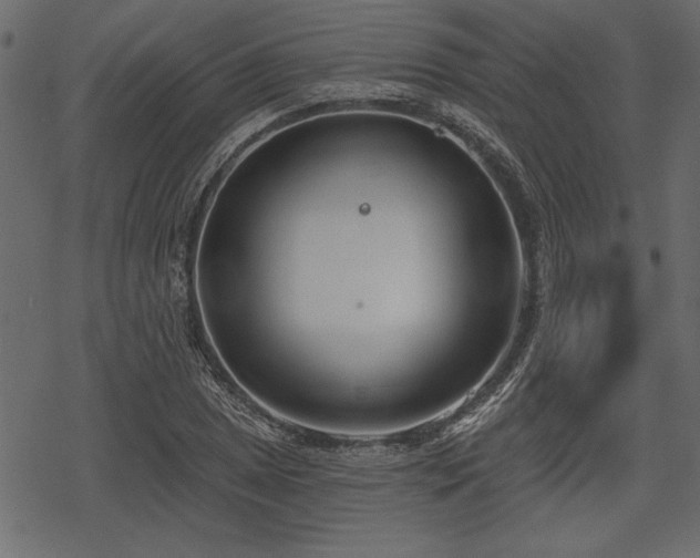 X0000078291025200611031226