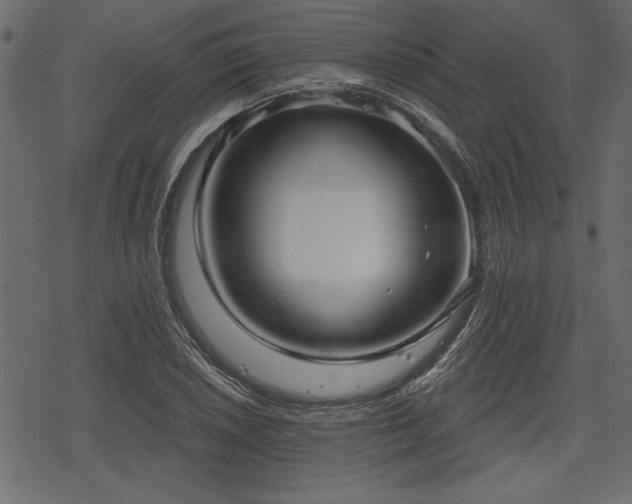 X0000078291026200611031226