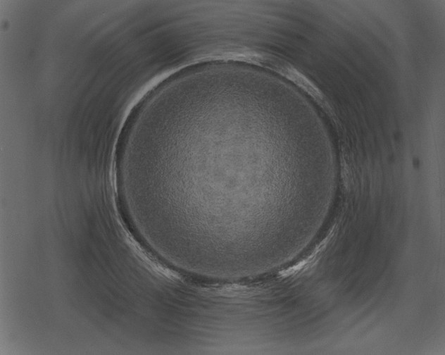 X0000078291028200611031226