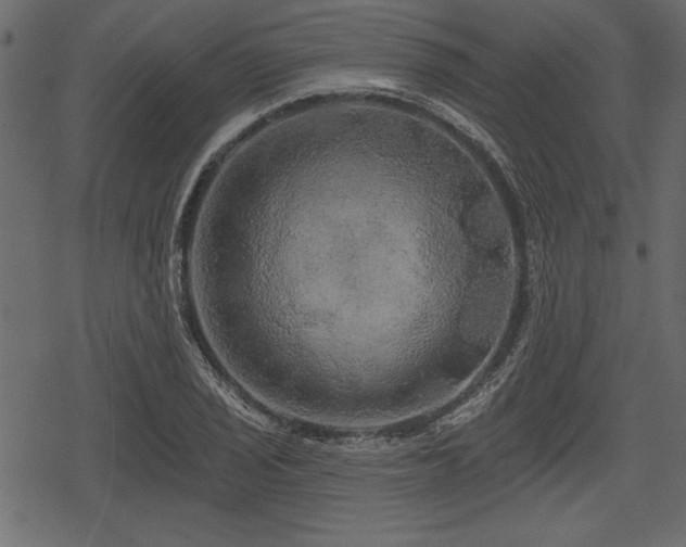 X0000078291029200611031226